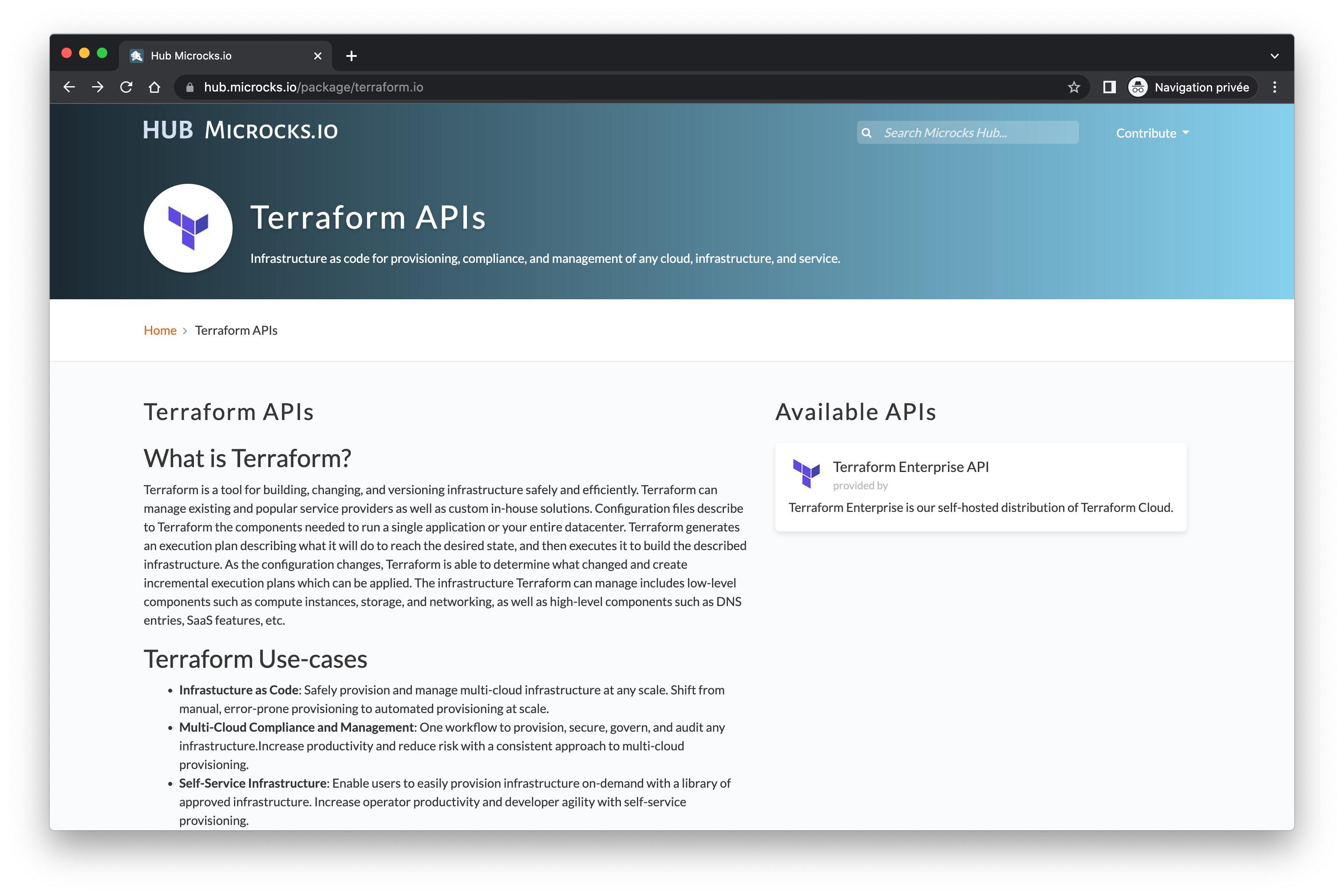 Terraform API in Microcks Hub